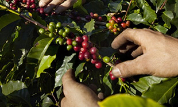 Investigação do Produto